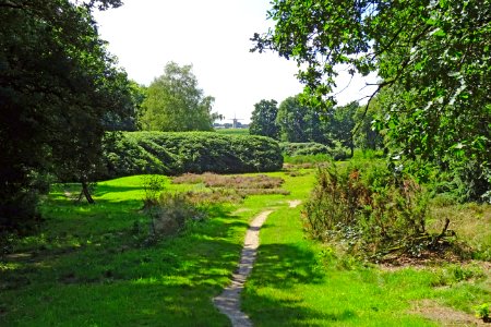 20160816_Zicht_op_Garderen_molen_De_Hoop_vanaf_de_Goudsberg1
