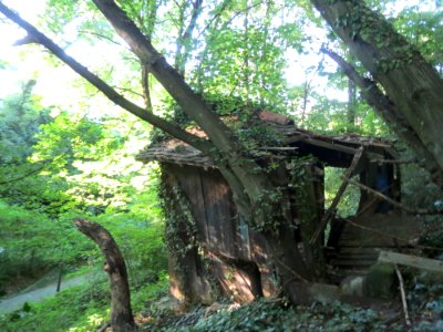 20160826Rodenhoferdell