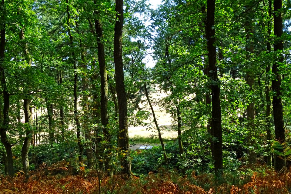 20160830_Franse_berg_graven_Kroller_Muller