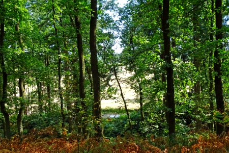 20160830_Franse_berg_graven_Kroller_Muller