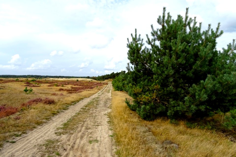 20160926_Kootwijkerzand1