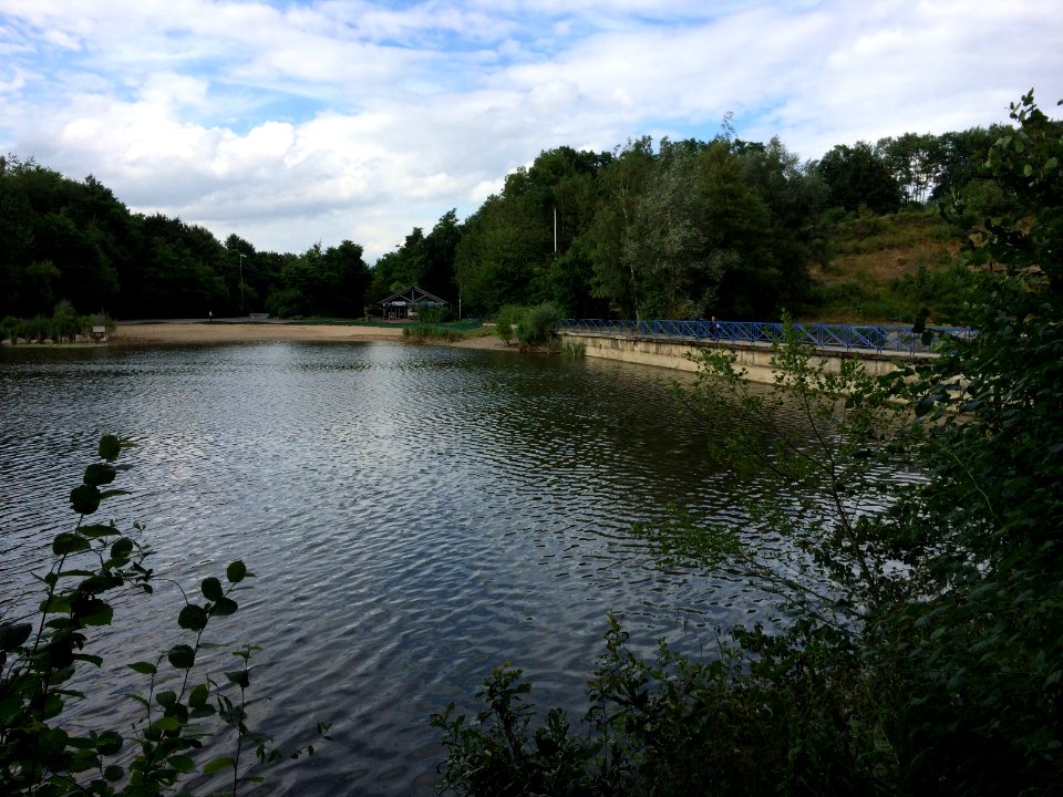 20160729_154509243_iOS