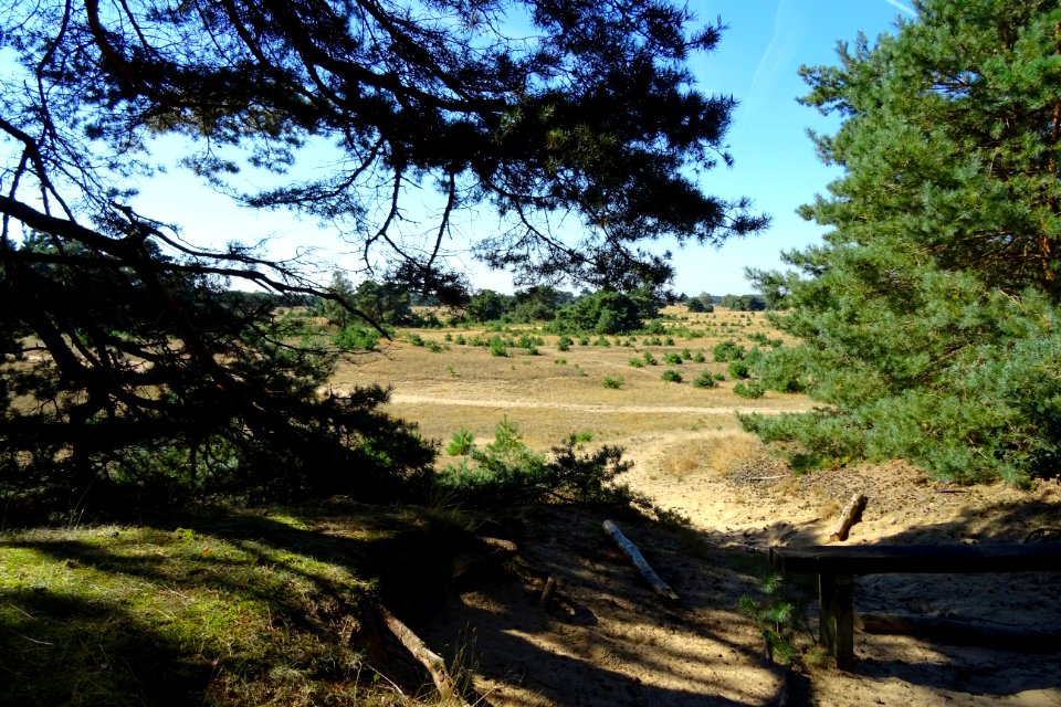 20160830_Otterlose_Zand1_gezien_vanuit_de_noordoostzijde