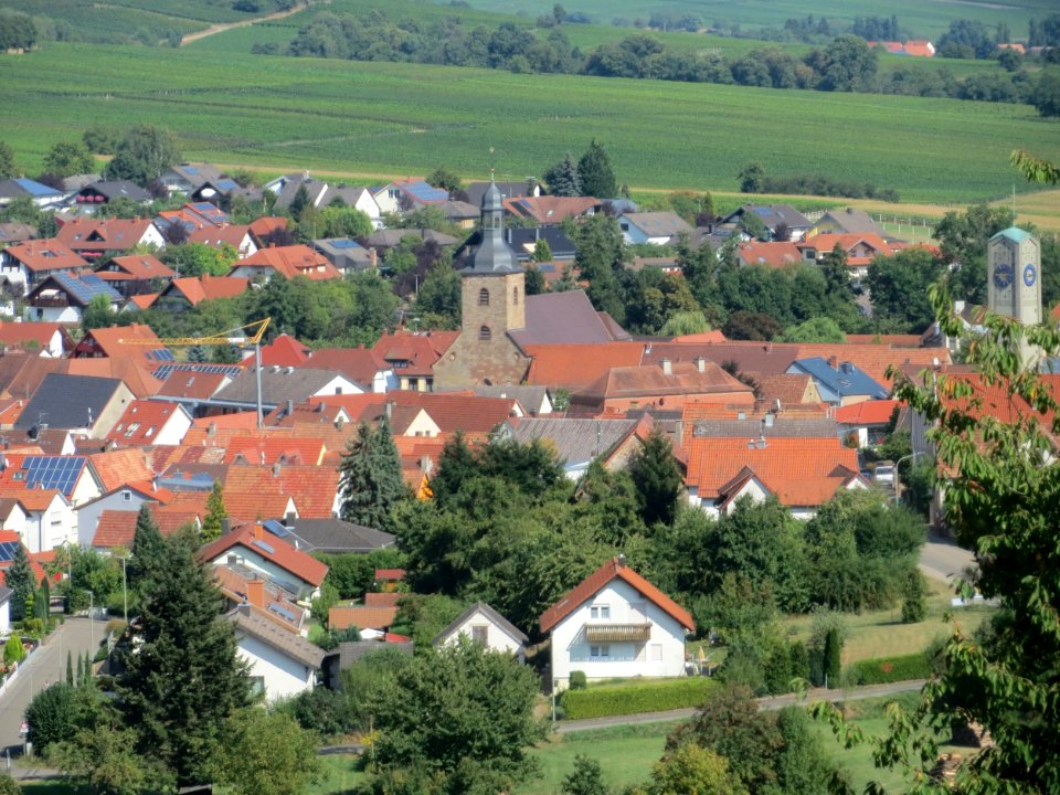 20160911Klingenmuenster4
