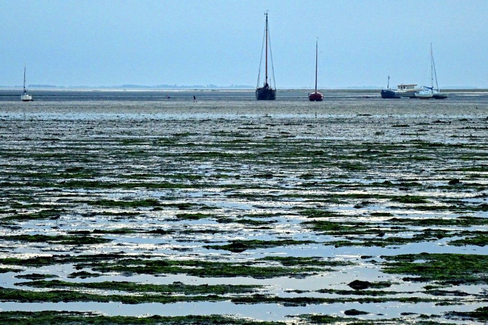 20160920_jachthaven_wad_Schiermonnikoog