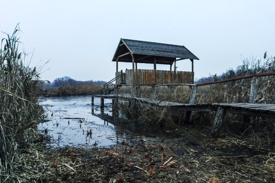 Nature water landscape