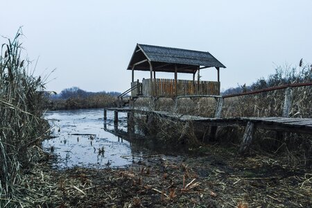 Nature water landscape