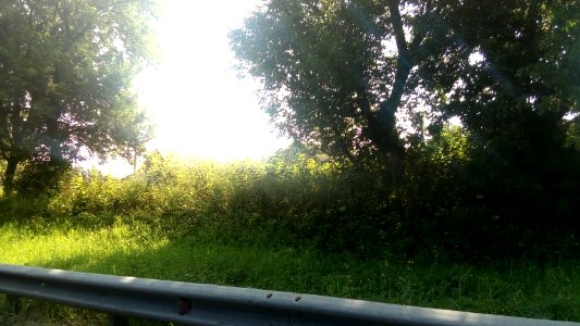 20160729_095815_Russia
