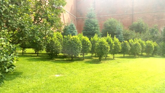 20160727_110238_July_2016_in_Moscow