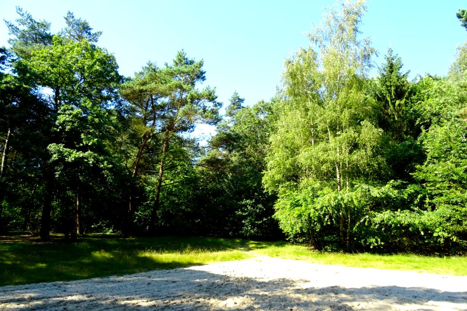 20160720_Horstmannsbos_Gasselte