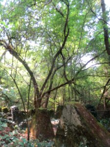 20160922Hoeckerlinie_Saarbruecken08