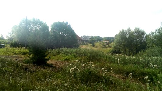 20160807_091813_Maksatikhinsky_District_of_Tver_Oblast