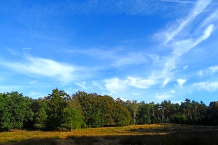 20160926_Hoenderloosche_Bosch1