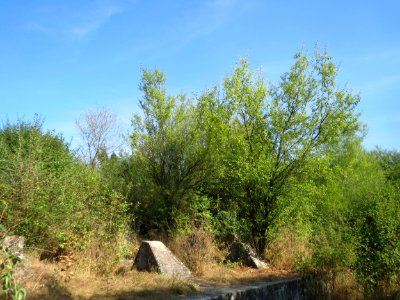 20160922Hoeckerlinie_Saarbruecken10