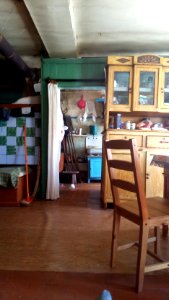 20160806_110339_Khabary,_Tver_Oblast