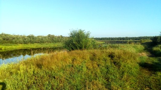 20160806_065647_Nature_of_Tver_Oblast