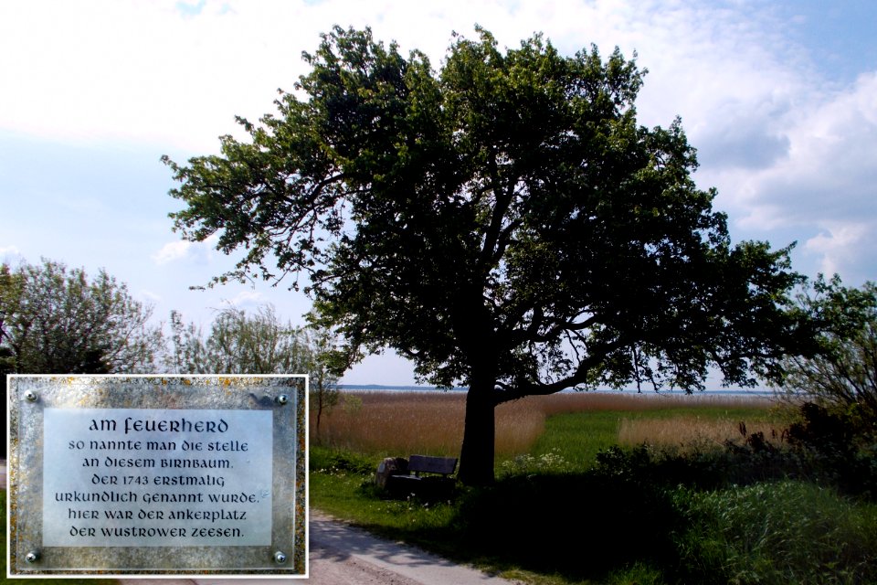 2017_Wustrow_Barnstorf_Am_Feuerherd