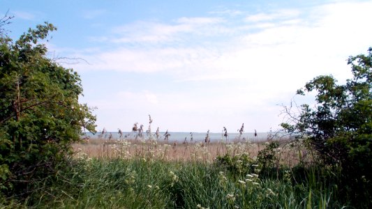 2017_Wustrow_Barnstorf_Boddenblick