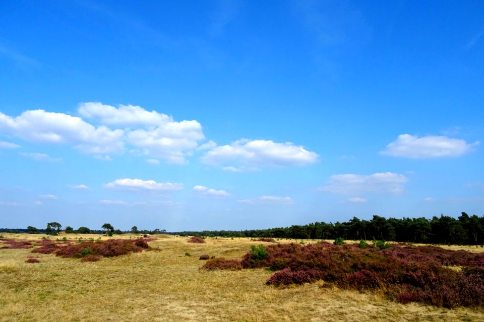 20160906_Otterlose_Zand3