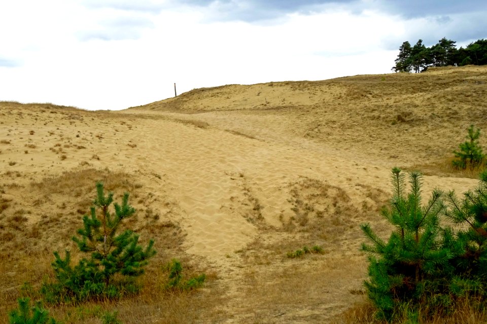 20160926_Hoog_Buurlosche_Heide2