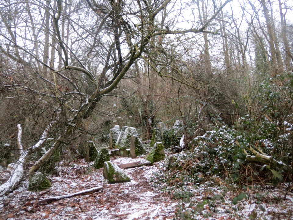 20170103Hoeckerlinie_Saarbruecken1