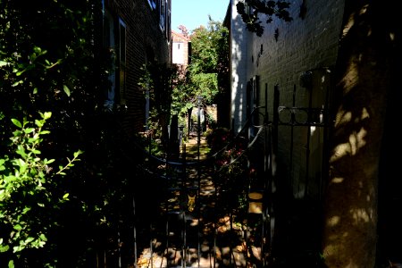 2017.10.27.121814_Yard_Prince_Street_Alexandria_Virginia_USA