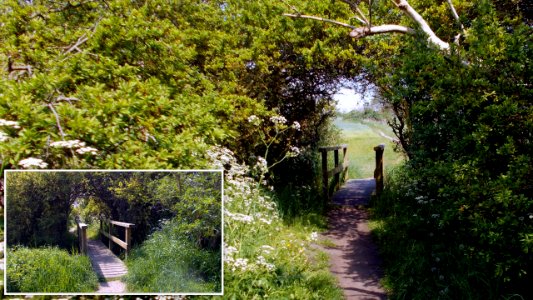 2017_Wustrow_Barnstorf_Heckentunnel