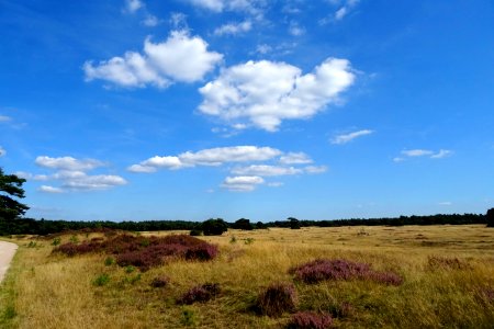 20160830_Pampelse_Zand