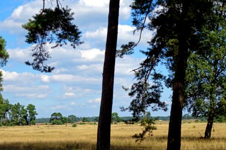 20160830_Otterlose_Zand_gezien_vanaf_de_Houtkampweg