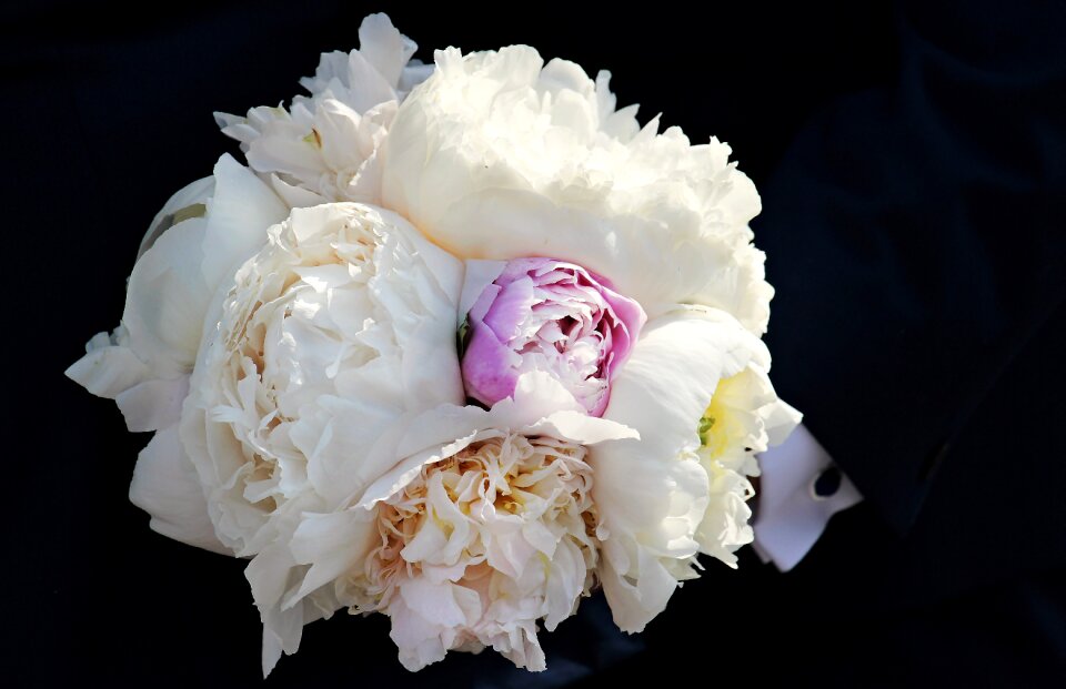 Congratulations wedding marry