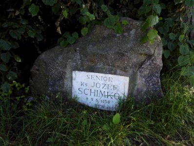 2017_Bielsko_Kamien_seniora