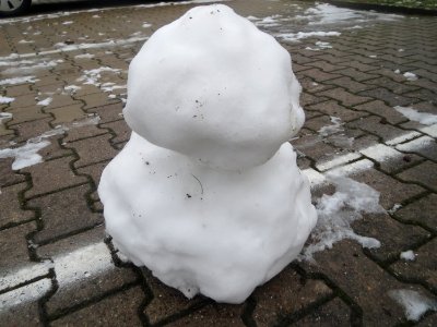 20170111Schneemann_Hockenheim02