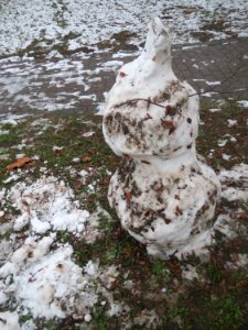 20170111Schneemann_Hockenheim09