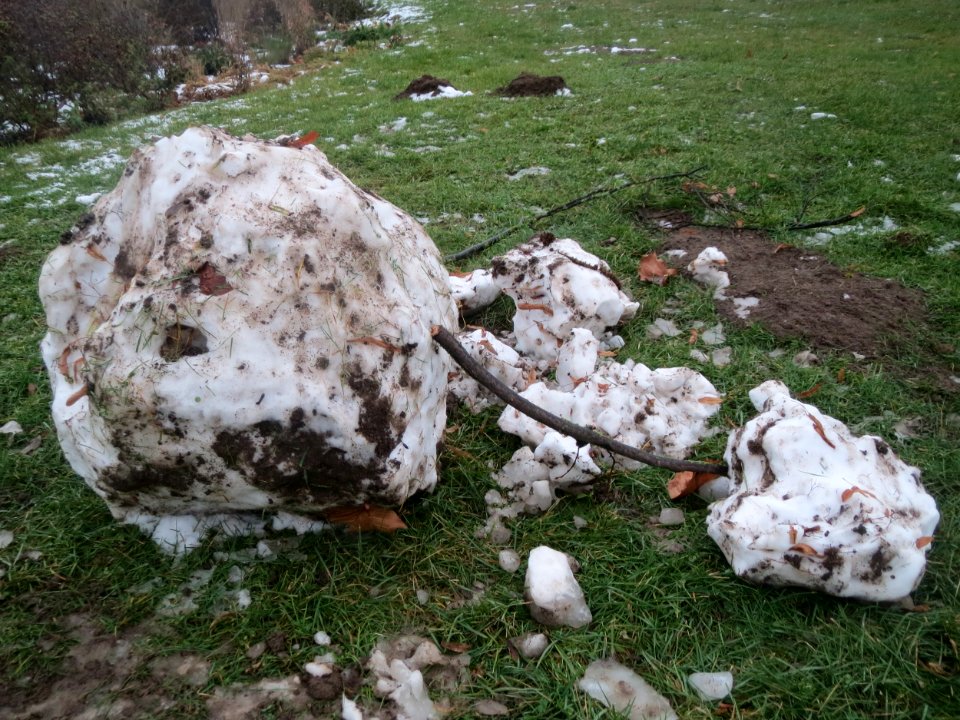 20170111Schneemann_Hockenheim04