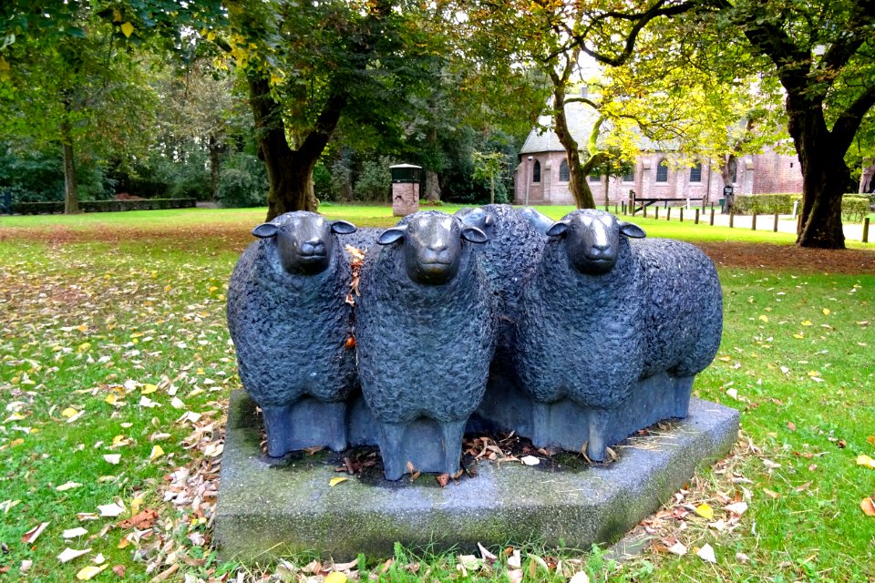 20161004_De_vijf_schapen_door_Karin_Beek_Kootwijk