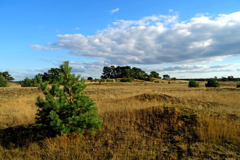 20161004_Kootwijkerzand5