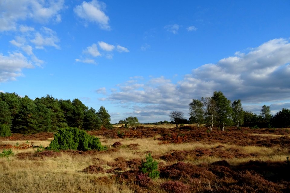 20161004_Kootwijkerzand4
