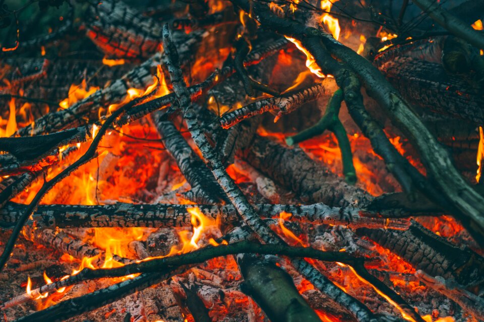 Burning campfire ember