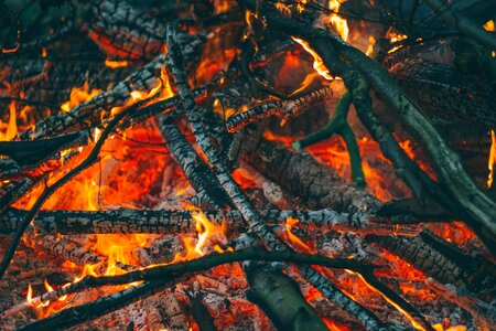 Burning campfire ember photo