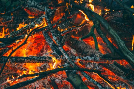 Burning campfire ember