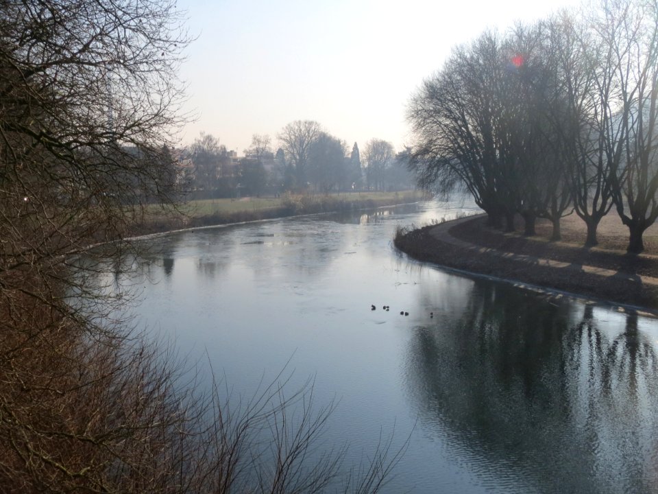 20170123Saar