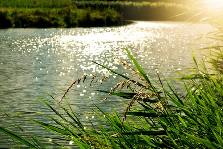 Water light sunlight glittering on water