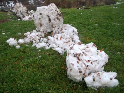 20170111Schneemann_Hockenheim06