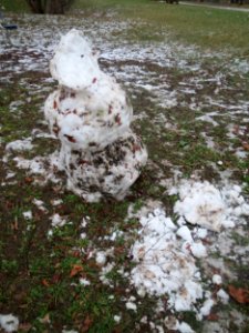 20170111Schneemann_Hockenheim10