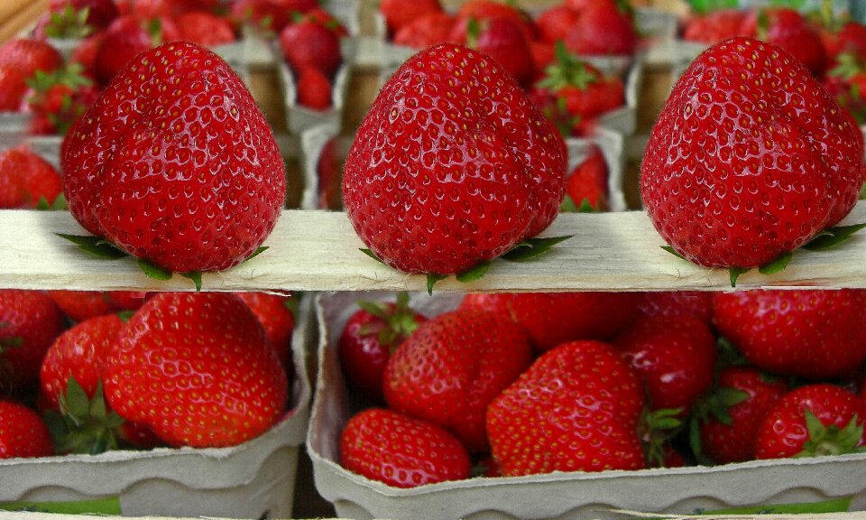 Summer food vitamins