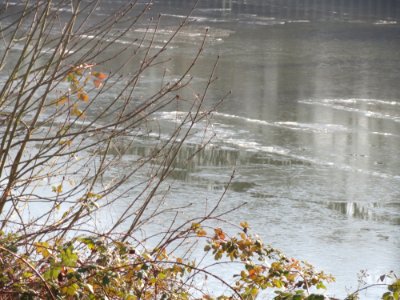 20170121Saar4