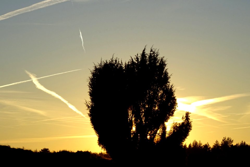20170327_Drouwenerzand