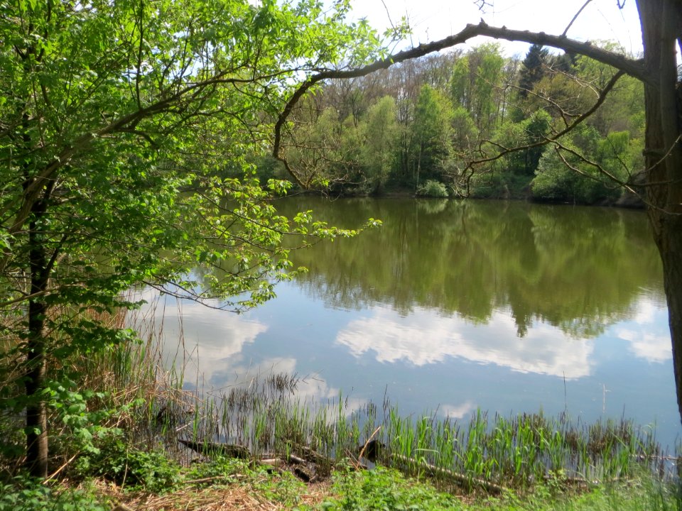 20170509Drahtzugweiher1