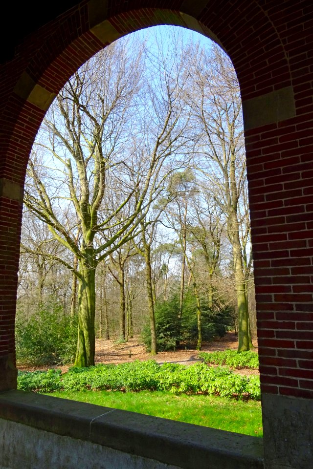 20170328_Koepel2_Luntersche_Buurtbosch