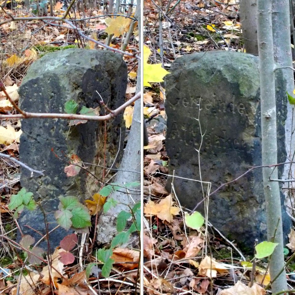 2017_Wurgwitz_Grenzstein_Altfranken-Kohlsdorf